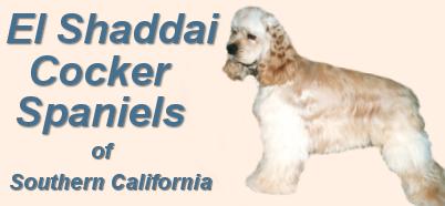 El Shaddai Cockers of Southern California