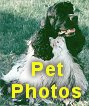 Pet Photos